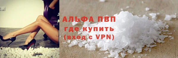 PSILOCYBIN Аркадак