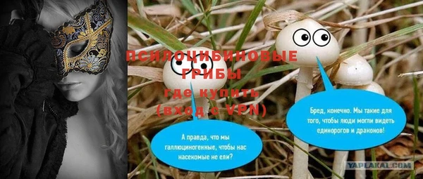 дурь Балахна