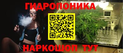 гашик Аргун