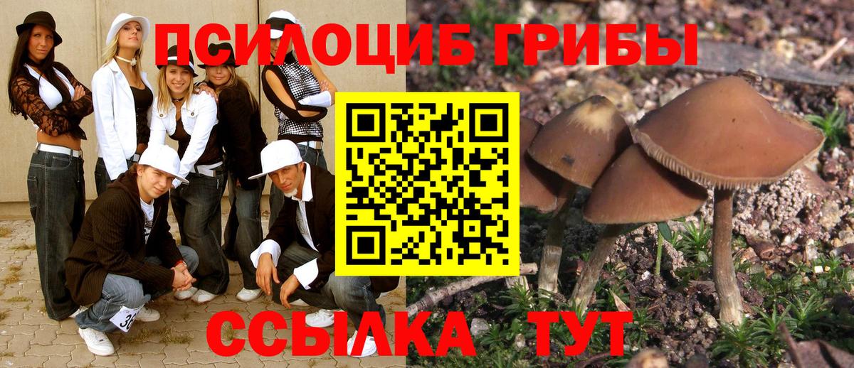 Псилоцибиновые грибы Cubensis Выкса