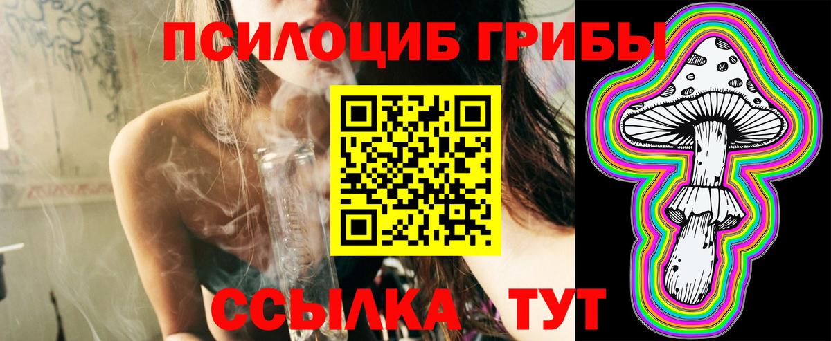 Выкса  Галлюциногенные грибы Magic Shrooms  Вход с VPN 